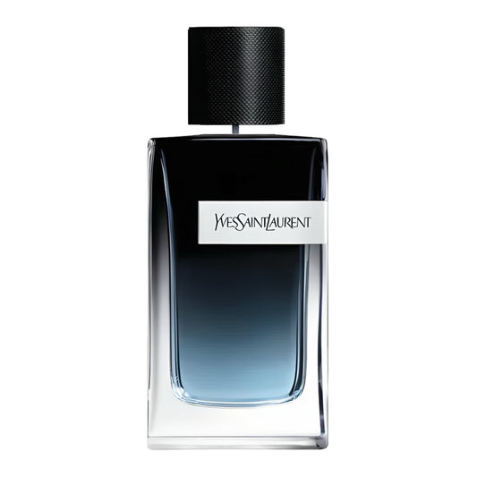 YSL - Y EDP